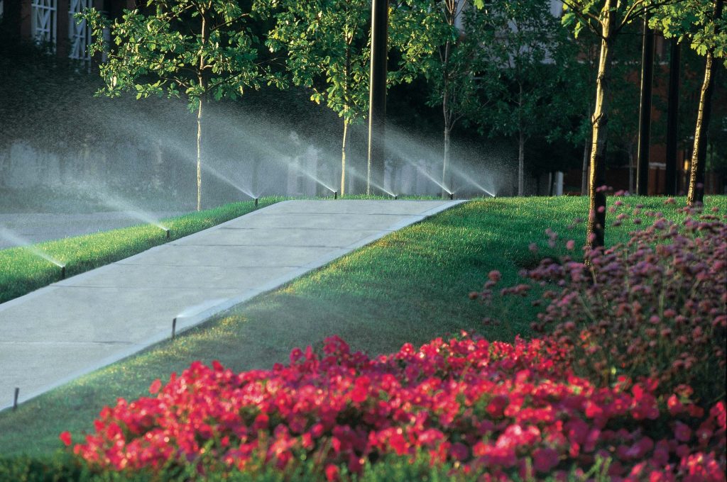 Lawn watering systems