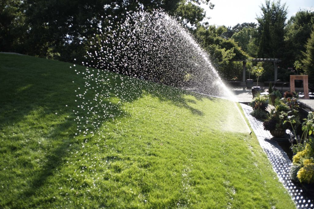 Kaip sutvarkyti pažeistą veją