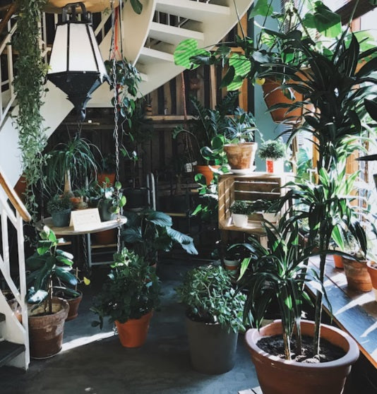 Augalų laistymo sistemos