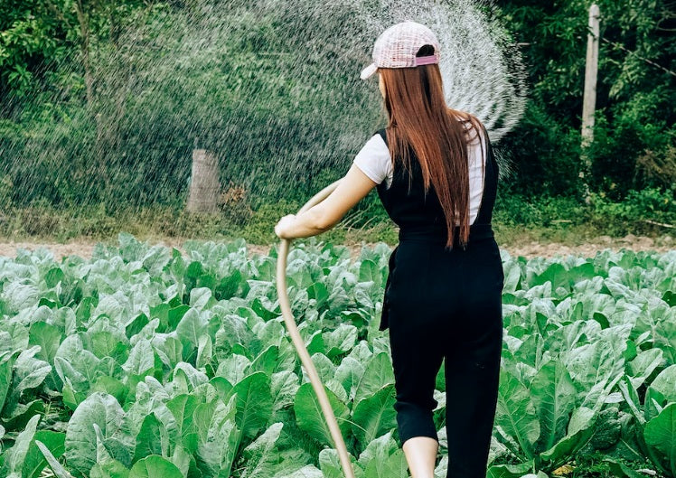 Laistymo sistema pasidaryk pats