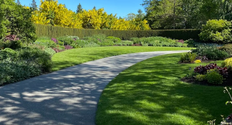 Kokia yra laistymo sistemos kaina?